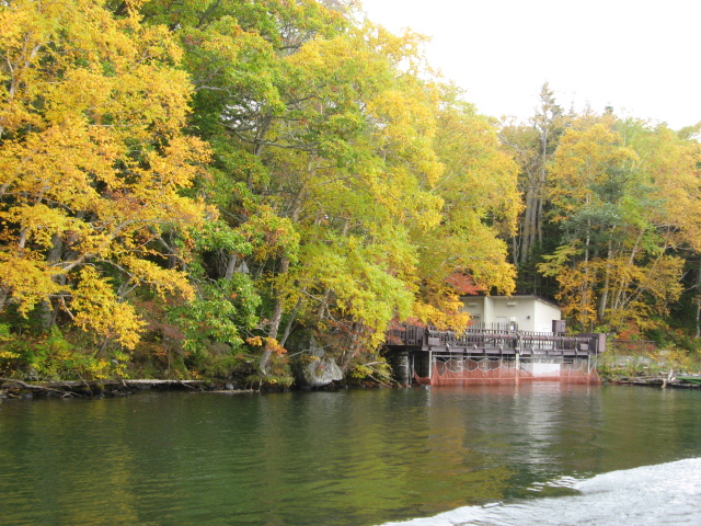 美味しいレストランはどこ？